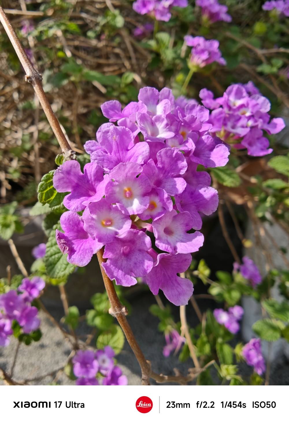 小米 17 Ultra 評測：長焦鏡頭再升級、效能、手感、攝影都到位的旗艦