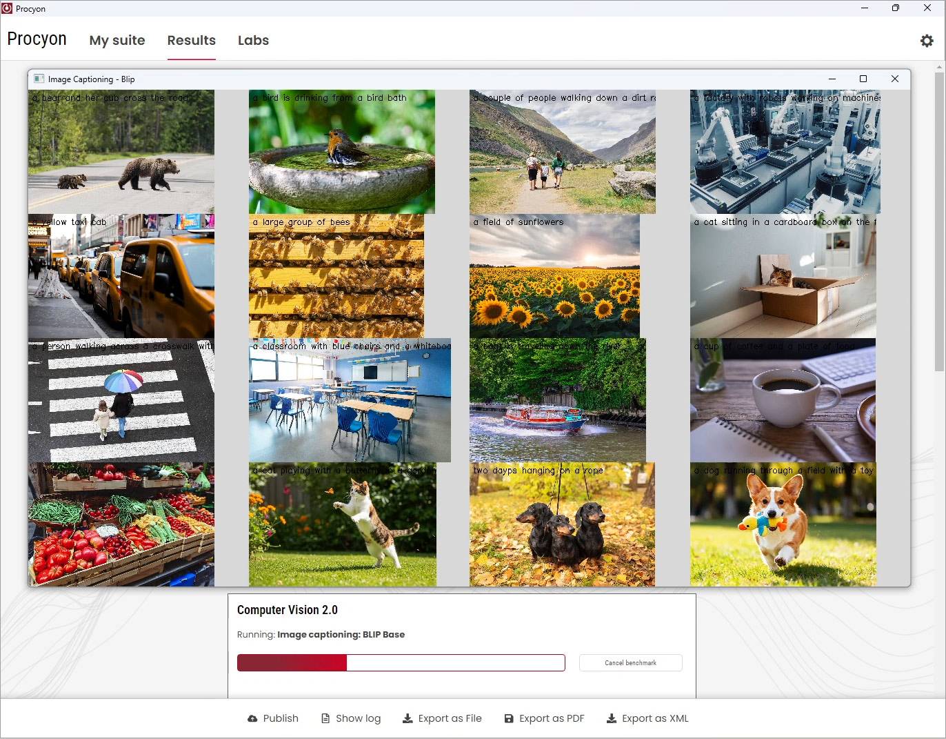 Procyon效能測試工具Computer Vision 2.0更新，導入Transformer架構模型替換原本的CNN架構，更貼近最新應用程式的實際情況。