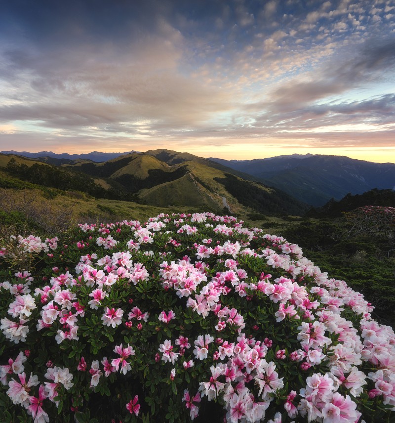 Sony α7R VI 新增 DRO LV6 至 LV8 三個動態範圍最佳化級距，面對高反差場景時有助於平衡亮暗部細節，對於不熟悉後製或偏好 JPEG 直出的使用者而言是相當實用的功能。(Sony α7R VI + FE 14mm F1.8 GM，F16、1/4s、ISO 100)(看大圖)