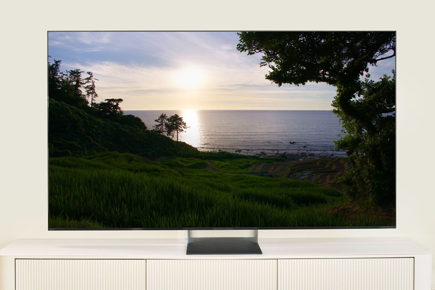 Sony 電視評價好嗎？解析 BRAVIA 畫質優勢與 True RGB 技術