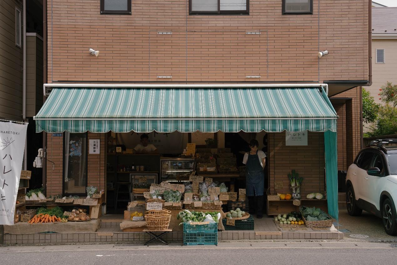 Sony α7 V + SEL2470GM2、52mm，F4.5、1/800s、ISO 500