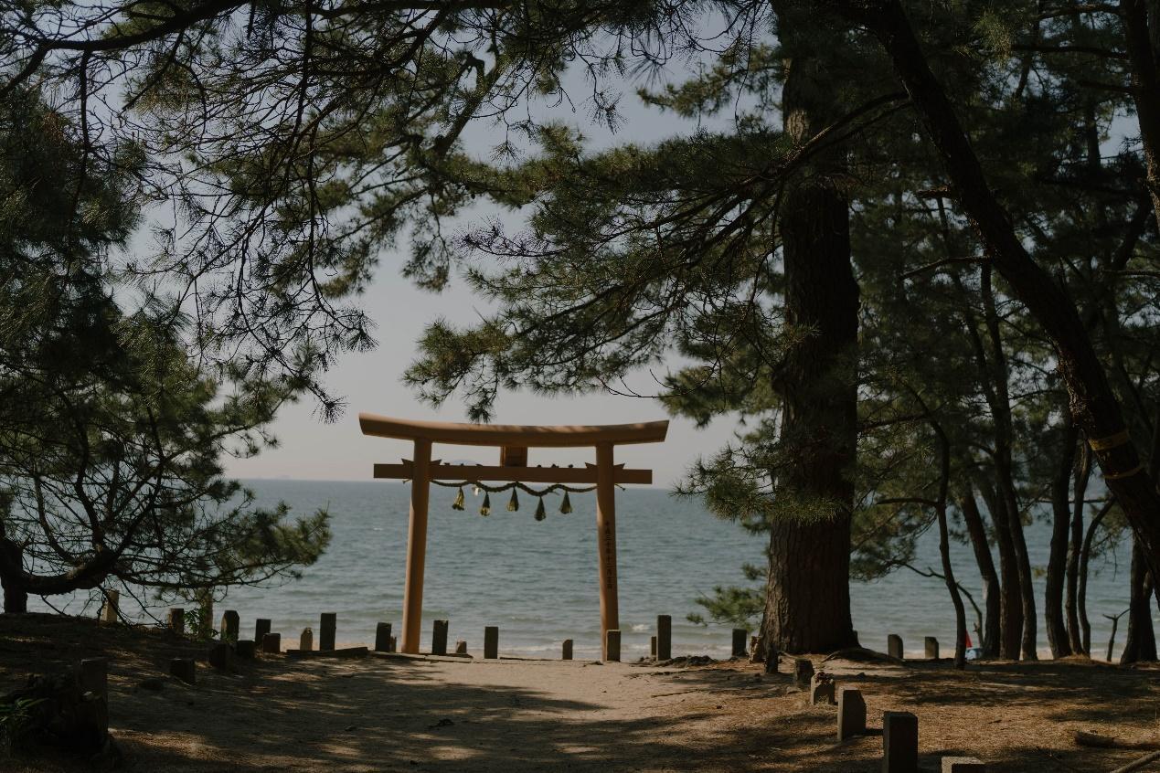Sony α7 V + SEL40F25G，F2.5、1/2500s、ISO 80 (看大圖)