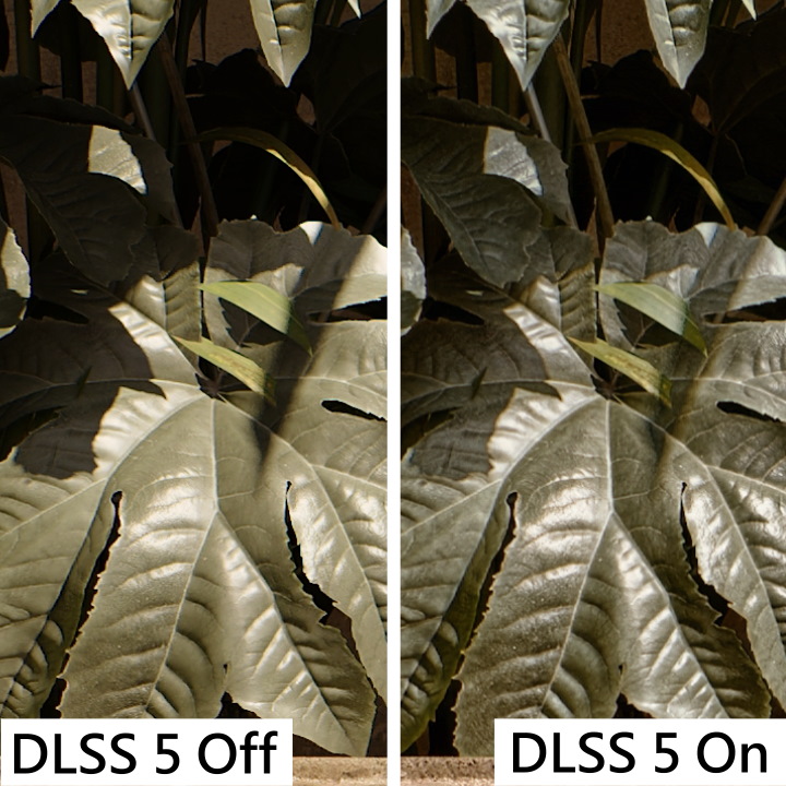 DLSS 5也改善了樹葉的葉脈紋理與光線反射的質感。