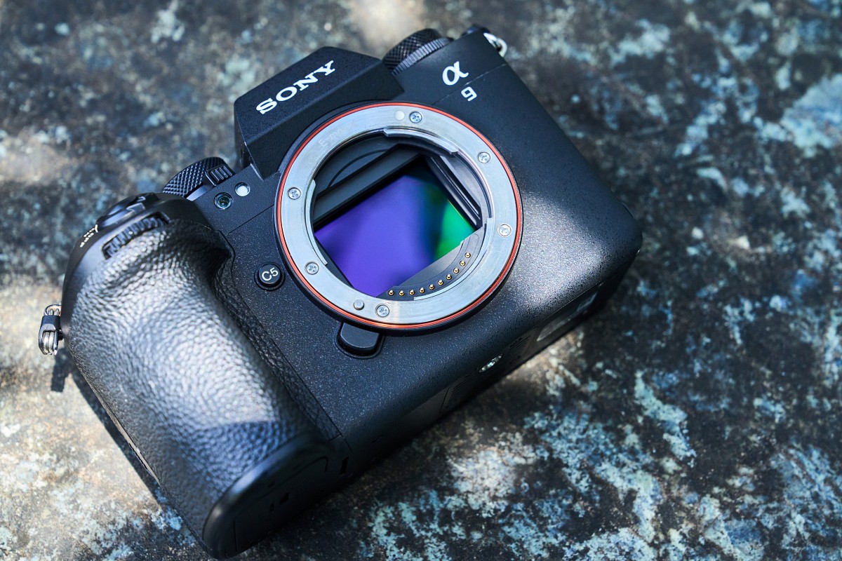 α9 III 是 Sony Alpha 系列中首款搭載全域快門的全片幅無反相機，由於可一次同時讀取整片感光元件的資料，因此能完美抑制果凍效應的變形現象。
